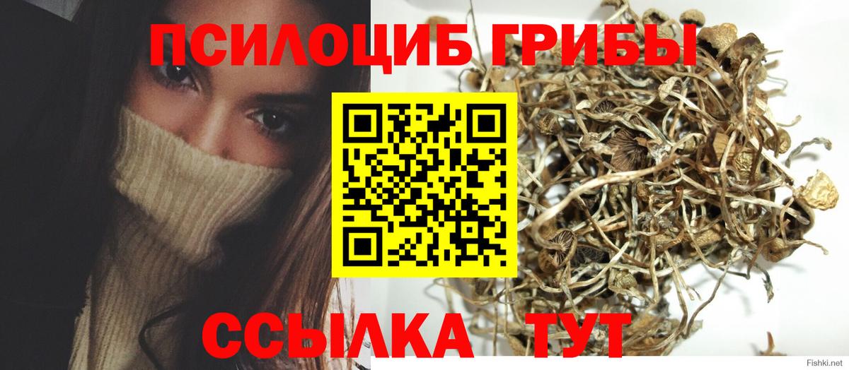 Галлюциногенные грибы Psilocybe  где найти   Заречный  Вход с VPN 