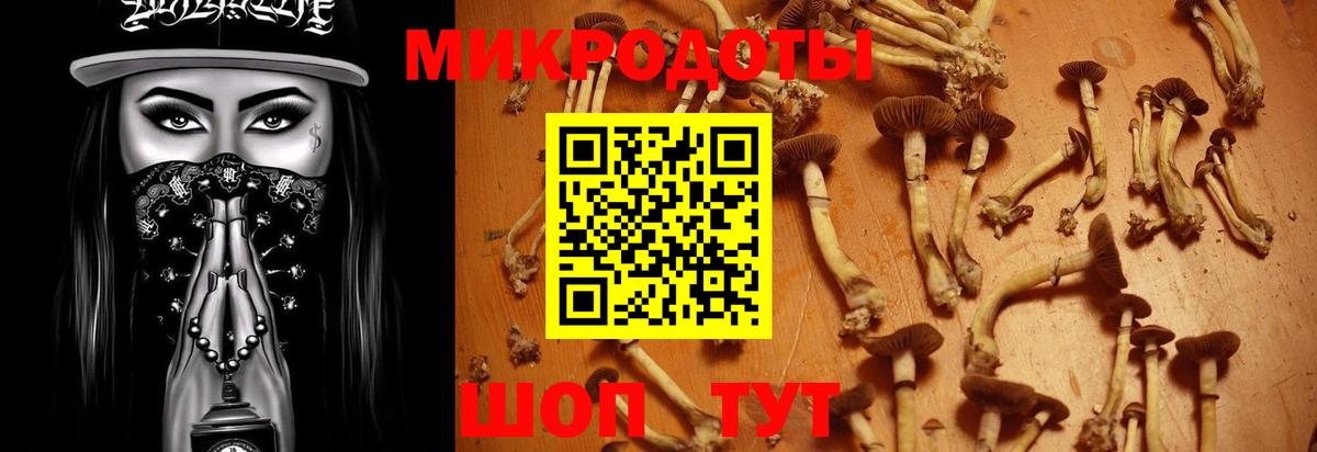 Галлюциногенные грибы MAGIC MUSHROOMS Заречный